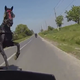 Illustration for article titled Oh my, motorcyclist just misses crashing into a horse on the road